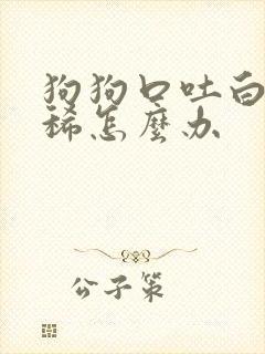 狗狗口吐白沫拉稀怎么办