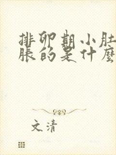 排卵期小肚子胀胀的是什么回事啊封面