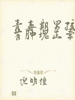 青春期男孩乳房有肿块正常吗