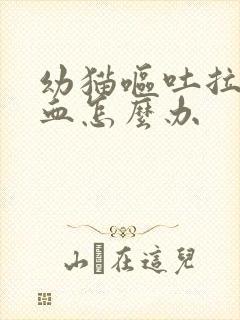 幼猫呕吐拉稀带血怎么办