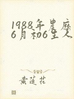 1988年农历6月初6生人命运封面