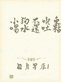 小狗不吃东西只喝水还吐粘液