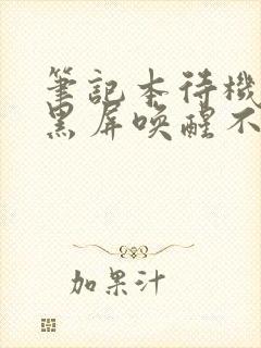 笔记本待机久了黑屏唤醒不了