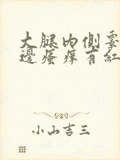 大腿内侧睾丸旁边瘙痒有红疙瘩