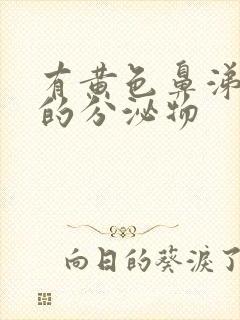 有黄色鼻涕一样的分泌物