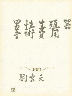 男性生殖器延长手术费用