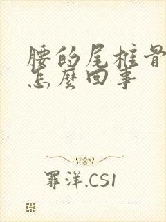 腰的尾椎骨疼是怎么回事