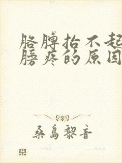 胳膊抬不起来肩膀疼的原因