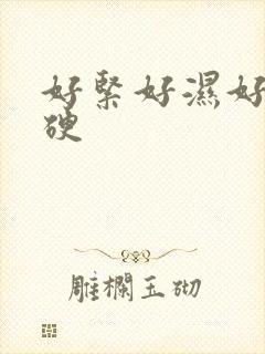 好紧好湿好爽好硬