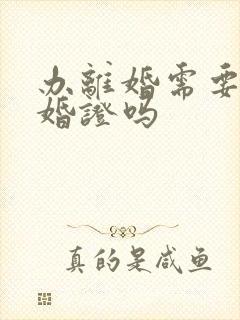 办离婚需要带结婚证吗封面