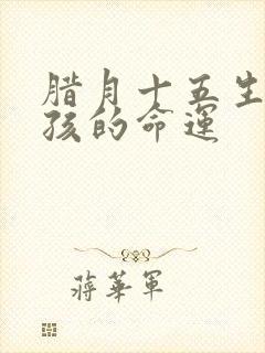 腊月十五生的男孩的命运