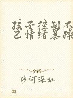 孩子控制不住自己情绪暴躁易怒是什么病