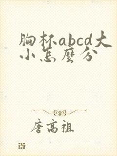 胸杯abcd大小怎么分