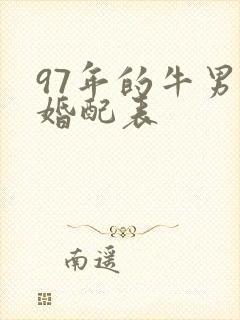 97年的牛男孩婚配表封面