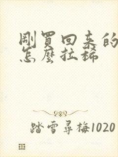 刚买回来的狗狗怎么拉稀封面