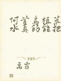 何首乌植萃洗发水真的能把白头发洗黑吗