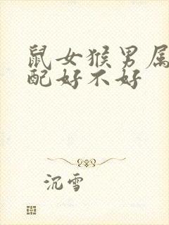 鼠女猴男属相婚配好不好