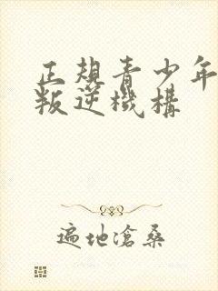 正规青少年教育叛逆机构