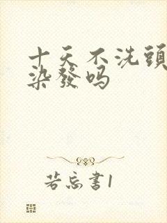 十天不洗头可以染发吗封面