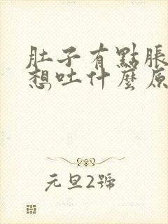 肚子有点胀有点想吐什么原因