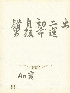 腊月初二出生的男孩命运