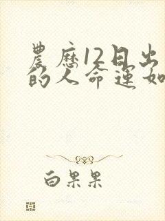 农历12日出生的人命运如何封面