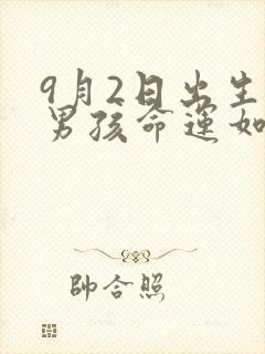 9月2日出生的男孩命运如何封面