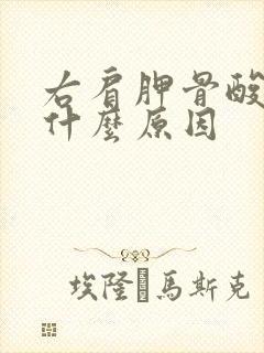 右肩胛骨酸胀是什么原因