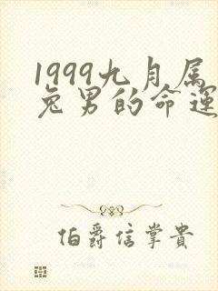 1999九月属兔男的命运如何