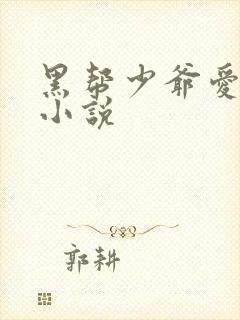 黑帮少爷爱上我小说