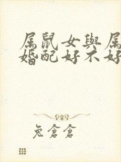 属鼠女与属羊男婚配好不好