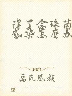 得了念珠菌阴道感染怎么办