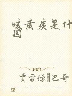 咳黄痰是什么原因