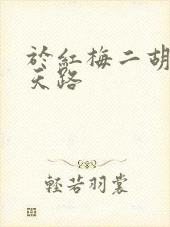 于红梅二胡演奏天路