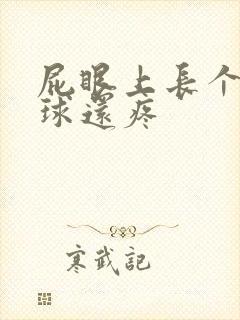 屁眼上长个小肉球还疼