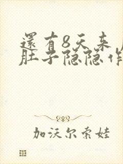 还有8天来月经肚子隐隐作痛