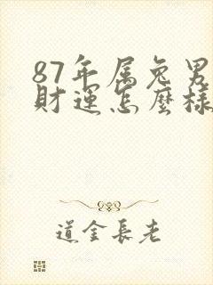 87年属兔男的财运怎么样