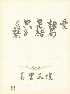 《只是相爱的关系》结局