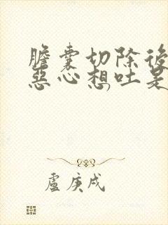 胆囊切除后头晕恶心想吐是怎么回事