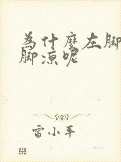 为什么左脚比右脚凉呢封面