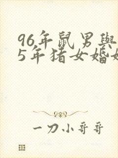 96年鼠男与95年猪女婚姻好不好
