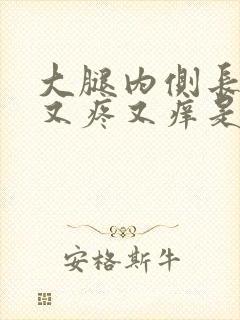 大腿内侧长疙瘩又疼又痒是怎么回事