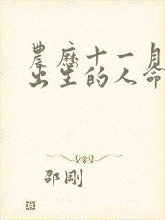 农历十一月十五出生的人命运