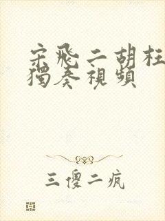 宋飞二胡枉凝眉独奏视频