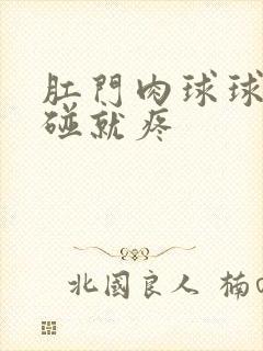 肛门肉球球硬一碰就疼封面