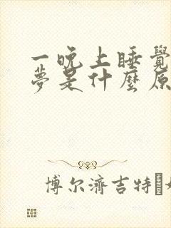 一晚上睡觉都做梦是什么原因