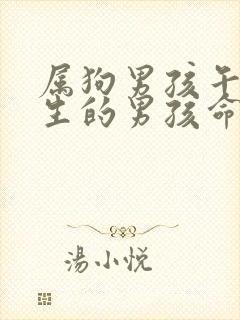 属狗男孩午时出生的男孩命运