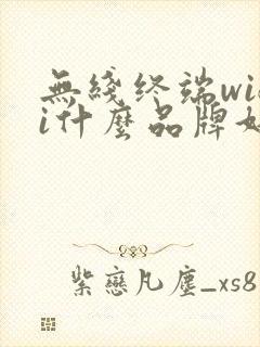 无线终端wifi什么品牌好