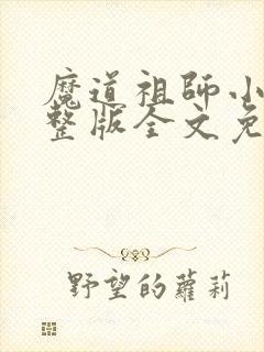 魔道祖师小说完整版全文免费阅读