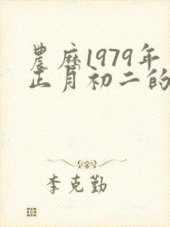 农历1979年正月初二的命运封面